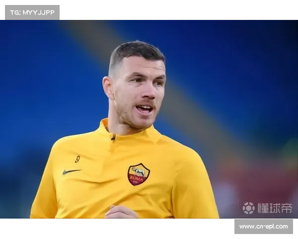 国际米兰新城建设受资金困扰暂时搁置项目推进计划 国际米兰新城建设受资金困扰暂时搁置项目推进计划